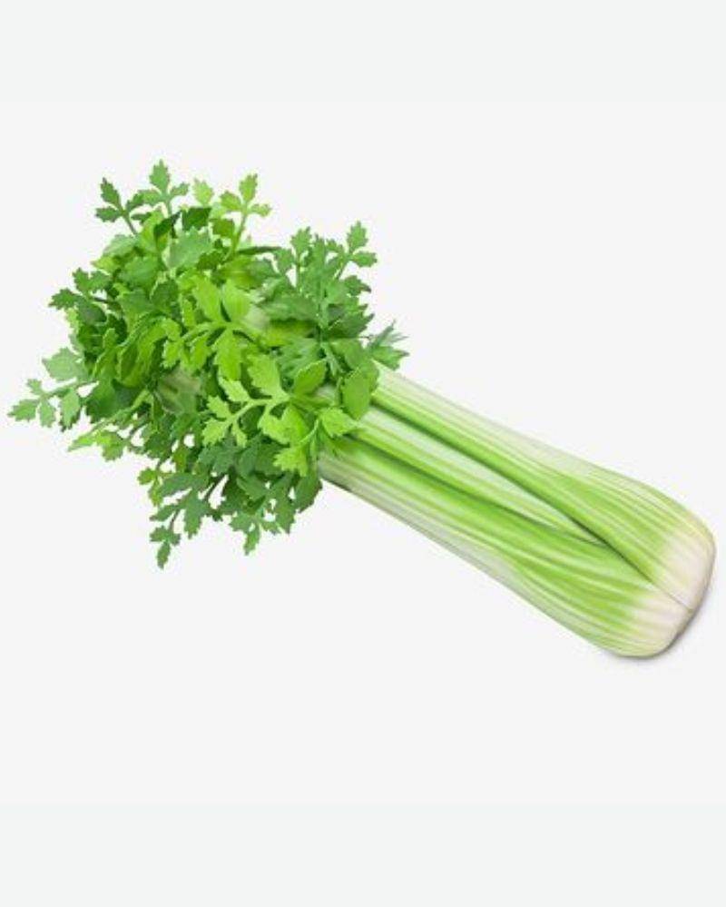 Instagram.com/recehtagram